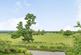 Additional image 20 of Charming Detached House with Outbuildings.