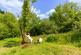 Additional image 20 of Cookbury, Holsworthy, Devon, EX22