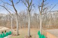 Additional image 24 of 1234 S Western Ave, Park Ridge, IL, 60068