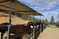 Additional image 62 of 2041 Symonds Dr, Pine Mountain Club, CA, 93222