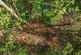 Additional image 51 of Edwin Road, Wigmore ME8