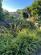 Additional image 30 of Oakhill Road, Seaview, Isle Of Wight PO34