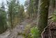 Additional image 20 of Coed Pen Y Bont (almost 11 and a half acres), Tal-y-Llyn, Tywyn, Gwynedd LL36