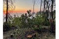 Additional image 36 of 3880 Spring Mountain Rd, Saint Helena, CA, 94574