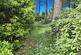 Additional image 18 of Oaks Drive, St. Leonards, BH24 2QS