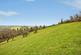Additional image 31 of Pencader, Carmarthenshire SA39