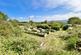 Additional image 35 of Llechwedd, Conwy