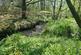 Additional image 44 of Cookbury Court, Cookbury, Holsworthy, Devon, EX22