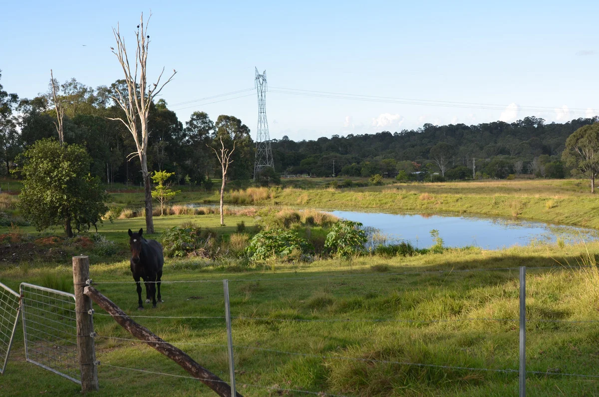 Additional image 5 of 153 F Lindsay Road, Rocksberg QLD 4510