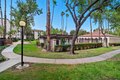 Additional image 40 of 39975 Cedar Blvd Unit 136, Newark, CA, 94560