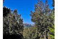 Additional image 22 of 725 Watson Canyon Ct Apt 114, San Ramon, CA, 94582