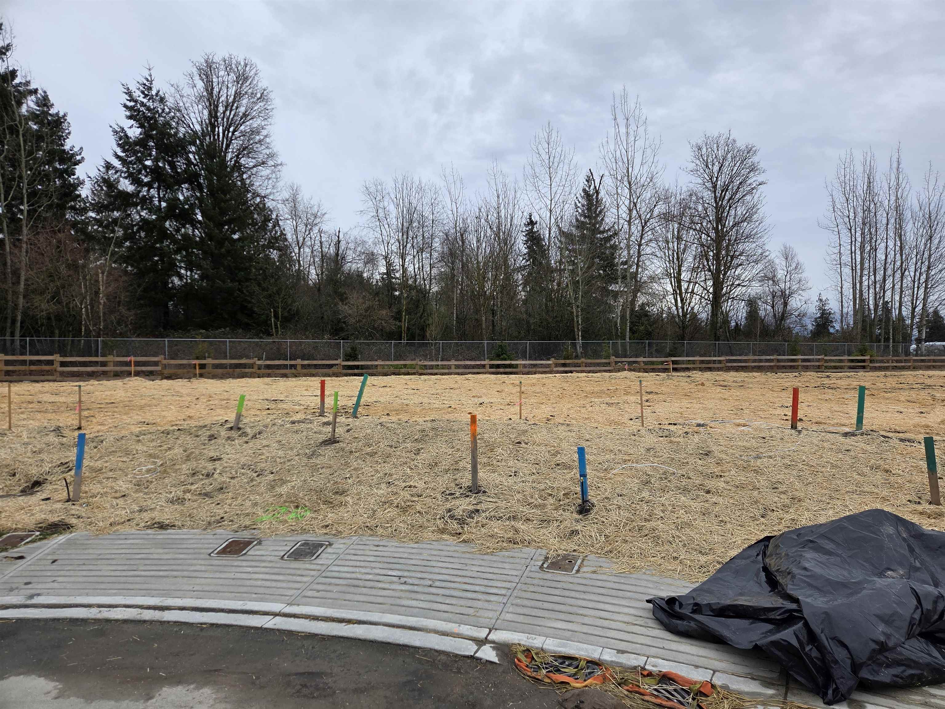 Additional image 5 of 2589 Crossing Court, Abbotsford, BC, V4X 1H4
