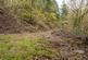 Additional image 17 of Coed Pen Y Bont (almost 11 and a half acres), Tal-y-Llyn, Tywyn, Gwynedd LL36