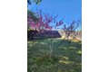 Additional image 26 of 3743 California Ave, Riverbank, CA, 95367