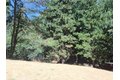 24814 Edelwiess Dr, Crestline, CA, 92325 photo 2