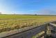 Additional image 17 of Thistledoo, 6d Arabella, Arabella, Tain