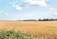 Additional image 9 of Brickworth Road, Whiteparish, Salisbury, Wiltshire