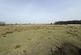 Additional image 104 of Nebo, Llanon, SY23