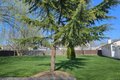 Additional image 33 of 56 Applegate Dr, Central Islip, NY, 11722