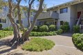 255 S Rengstorff Ave Apt 7, Mountain View, CA, 94040