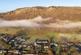Additional image 49 of Plot 1, Kinfauns Holdings, Kinfauns