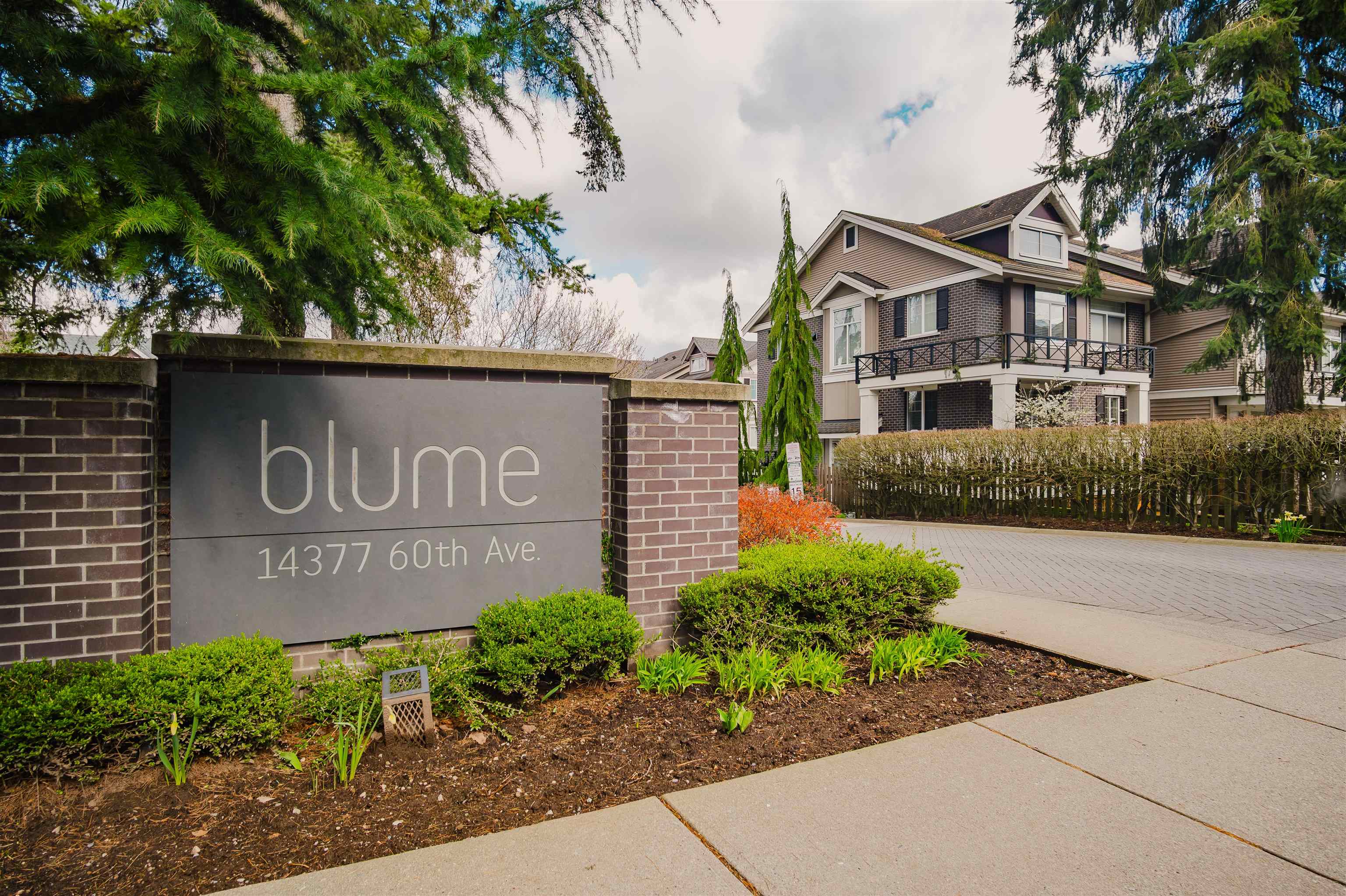 Additional image 4 of 33-14377 60 Avenue, Surrey, BC, V3X 0E2