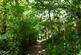 Additional image 4 of Bickley Quarry Wood, Hanham Mills, Bristol BS15