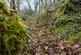 Additional image 19 of Coed Sion Wyn (about 5 and a half acres), Llanfihangel-y-Traethau, Harlech, Gwynedd LL46
