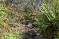 Additional image 38 of 21502 NE 269th St, Battle Ground, WA, 98604