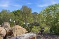 Additional image 35 of 1140 Sloan Canyon Rd, Jamul, CA, 91935