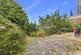 Additional image 18 of Sandy Bank, Bewdley, DY12 2AY