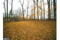Additional image 41 of 4802 Grid St, Bowie, MD, 20720