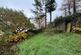 Additional image 9 of Tan Y Graig, Rhyd Ddu, Caernarfon, Gwynedd, LL54
