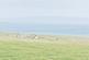 Additional image 6 of 100% FREEHOLD BEACH OVER 2 ACRES Development, Veantrow Bay, Orkney KW17