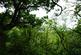 Additional image 3 of Bickley Quarry Wood, Hanham Mills, Bristol BS15