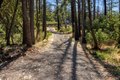 Additional image 50 of 3880 Spring Mountain Rd, Saint Helena, CA, 94574