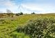 Additional image 15 of Farmbank Road, Ormesby, Middlesbrough