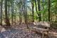 Hurdle Wood (4.75 acres), Beckley, near Rye, East Sussex TN31