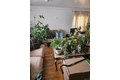 Additional image 4 of 484 Beach 44th St, Far Rockaway, NY, 11691