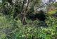 Additional image 2 of Hillsborough Terrace, Ilfracombe EX34