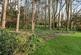 Additional image 58 of 20 Southdown Road, Eastbourne BN20
