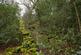 Additional image 2 of Coed Sion Wyn (about 5 and a half acres), Llanfihangel-y-Traethau, Harlech, Gwynedd LL46