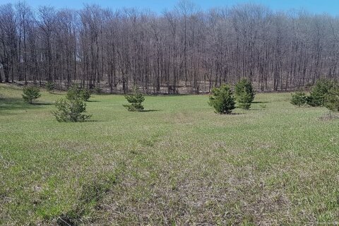 Additional image 7 of 1024 Old Barrie Road, Oro-medonte, ON, L0L 2L0