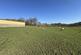 Additional image 31 of Llangwyryfon, Aberystwyth, SY23