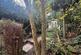 Additional image 19 of Linton Road, Hastings