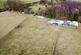 Additional image 10 of Blaenpennal, Aberystwyth
