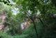 Additional image 2 of Bickley Quarry Wood, Hanham Mills, Bristol BS15