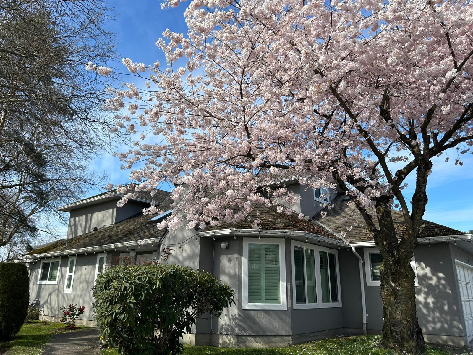 30-9731 Capella Drive, Richmond, BC, V6X 3R1