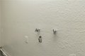 Additional image 33 of 327 Yuba St, Orland, CA, 95963