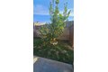 Additional image 25 of 2368 Carrotwood Dr, Brea, CA, 92821